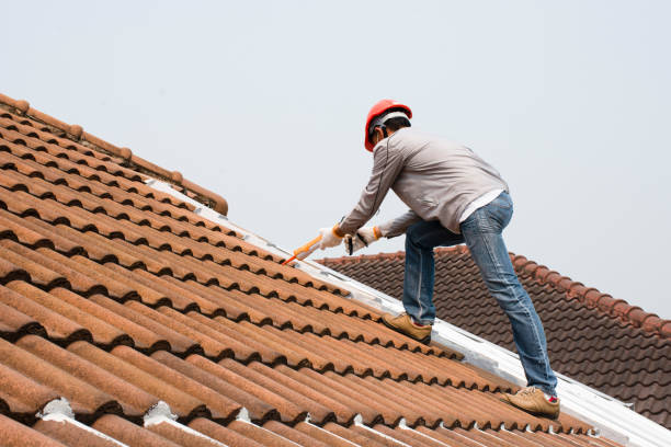 Best Metal Roofing Installation  in Shenandoah Junction, WV