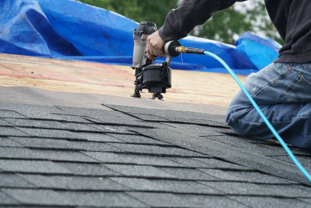 Best Roof Ventilation Installation  in Shenandoah Junction, WV